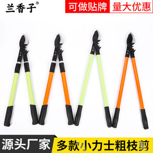 Hiroki Oka Telescopic Lopping <b>Shears</b> 62Cm Stainless Steel Pruning <b>Tool</b> For Fruit Trees And Landscaping - Product Image 5