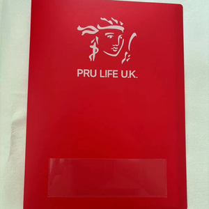 Hot bán 20-Pocket rõ ràng A4 nhựa tài liệu thư mục hiển thị đứng tùy chỉnh Pru cuộc sống U. k. logo cho PP Philippines nộp hồ sơ - Product Image 1