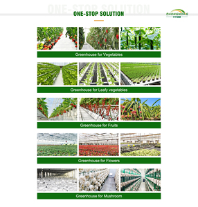 Serres agricoles à tunnel en film PE à simple travée PLOY HOUSE à faible coût <span class=keywords><strong>pour</strong></span> légumes, ensemble complet avec structure de <span class=keywords><strong>serre</strong></span> de culture - Product Image 3