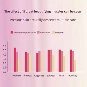 Vaporisateur Facial Professionnel Portable à Vapeur Nano Électrique Réglable pour Hydratation du Visage – Idéal Salons de Beauté, Usage Domestique et Hôtelier - Product Image 4