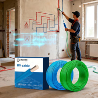 BV 2,5 mm² Massiv kupferdraht 450/750V PVC isoliert, für die Installation der elektrischen Verkabelung im Hausbau (100m/Rolle) mit CE