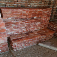 Briques de sel de l'Himalaya rectangulaires, carreaux de sel pour la fabrication de murs de sauna et de spa, purification de l'air