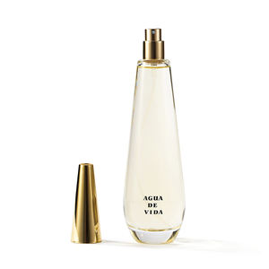 Parfum Femme 100ml 3.4fl.oz Parfum Parfum Parfum Fait par le Client Déodorant Corporel Spray pour Dames - Product Image 3