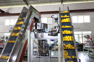 Boho <span class=keywords><strong>2021</strong></span> U <span class=keywords><strong>TECH</strong></span> — couvercle bouteille de fermeture pliable, 2 parties, haute vitesse, Machine à assembler - Product Image 6