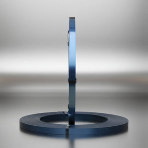 <span class=keywords><strong>Venta</strong></span> Directa <span class=keywords><strong>de</strong></span> <span class=keywords><strong>Fleje</strong></span> <span class=keywords><strong>de</strong></span> Embalaje Manual <span class=keywords><strong>de</strong></span> <span class=keywords><strong>Acero</strong></span> Encerado Azul <span class=keywords><strong>de</strong></span> 16/19/25/32 mm, Anticorrosión y Prevención <span class=keywords><strong>de</strong></span> Óxido - Product Image 1