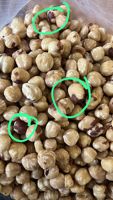 Machine de tri de couleur intelligente par IA pour lentilles, pois chiches, haricots mungo, équipement de tri de couleur des grains de haute précision