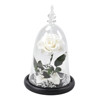 Roses séchées préservées au toucher réel, Eternelle, décoration pour la Saint-Valentin, la fête des mères, Pâques, longue durée (3-5 ans), prix d'usine
