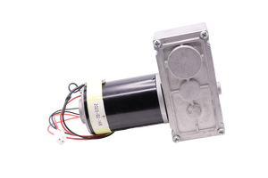 Fabricantes al por mayor de alta calidad 24V cocina residuos basura residuos de alimentos triturado Motor de cepillo personalizado - Product Image 3