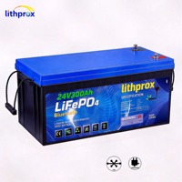 Batería de ciclo profundo LiFePO4 para montacargas, 24V 300Ah, para centro de distribución, resistente a golpes, CE FCC RoHS, OEM ODM, de fábrica