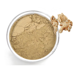 ノトギンセンエキスパナックスノトギンセンルートエキス粉末80% ノトギンセノサイド - Product Image 1