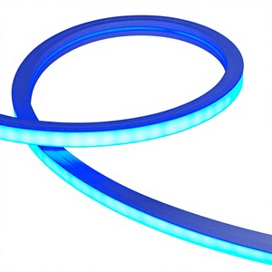 ไฟนีออน LED แบบยืดหยุ่น ขนาด 10x10 เมตร ใช้ไฟ DC12V สีดำ ซิลิโคนเคลือบสองชั้น มาตรฐาน IP65 ปรับความสว่างได้ เหมาะสำหรับตกแต่งดิสโก้คลับ ได้รับมาตรฐาน CE - Product Image 1