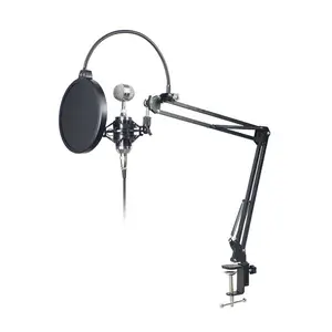 Professional Foldable Single Microphone Arm Stand For Recording Studio Desktop