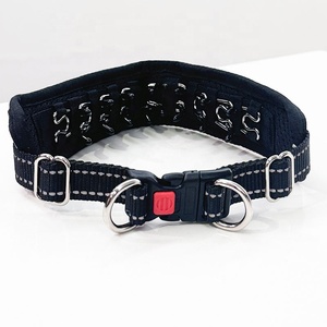 Verstelbare Roestvrijstalen Hond Afneembare Prong Stimulatie Training Knijpkraag Met Rubberen Tips - Product Image 2
