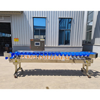Machine de triage de poids de pieds de poulet Machine d'abattage de volaille de type plateau rotatif