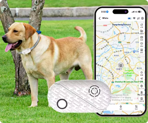 Высококачественный низкомощный трекер для домашних животных Beidou, система глобального позиционирования, оборудование для домашних животных, система глобального позиционирования собак, трекер - Product Image 6