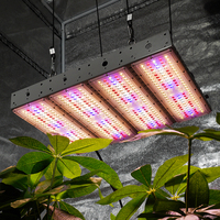 Lámpara LED de Cultivo para Invernadero Comercial de Espectro Completo Lm301h 3030 EVO de 160W 320W 800W, Ángulo de Haz de 90 Grados, Resistente al Agua, para Floración