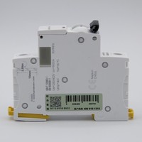 Disjoncteur miniature A9F18120 iC65N courbe C, 1P, 20A, distribution de bornes modulaire basse tension