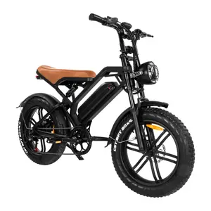 Ready to Ship Fat Tire E-bike V20 Electric Bike 250w 750w Mountain Ebike E Bike Fatbike Aluminum Alloy for Men 20 Inch 48V 500W
