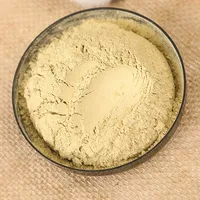 Fabricant professionnel de haute qualité déshydraté pur poudre de melon amer naturel organique économique saveur originale