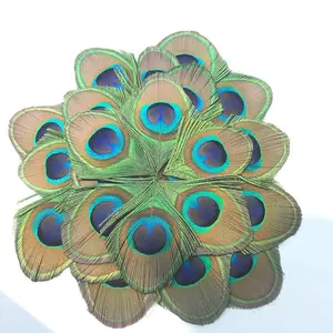 Green Peacock Eye Feathers DIY Crafts Art Trimmed Feathers for DIY Vintage Hair Accessories Carnival Costume Wedding Party