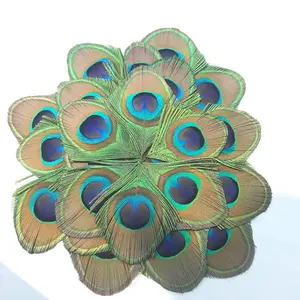 Plumas de ojo de pavo real verde, manualidades DIY, plumas recortadas para DIY, accesorios para el cabello Vintage, disfraz de carnaval, fiesta de boda