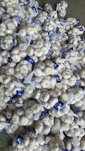 All'ingrosso nuovo fornitore di aglio fresco normale aglio bianco alho ail G1 produttore di buona qualità jinxang ajo - Product Image 5