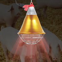 Lampe chauffante infrarouge électrique d'usine OEM pour l'élevage de volailles et de poussins – Kit complet