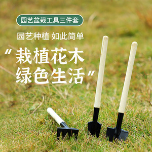 Juego de tres piezas para jardín, mini pala y rastrillo con mango de madera para plantar flores y suculentas en casa - Product Image 1