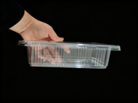 Wegwerp lekbestendige PP plastic clamshell doos voor gefrituurde kip afhaalmaaltijden, transparante snackverpakking met deksel met compartimenten