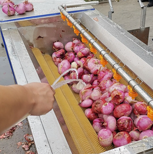 Máquina Peladora de Frutas y Verduras Motorizada de Acero Inoxidable 304, para Lavar y Limpiar Fácilmente Yuca, Patatas y Jengibre - ¡Venta Caliente! - Product Image 3