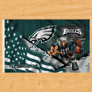 Alta calidad 3x5 pies para banderas de la <span class=keywords><strong>NFL</strong></span> todos los equipos 32 banderas de <span class=keywords><strong>Super</strong></span> <span class=keywords><strong>Bowl</strong></span> personalizadas stock al por mayor para fútbol nacional de Oakland Raiders - Product Image 2