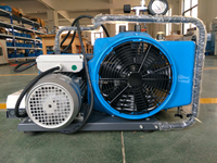 Fournisseur de compresseur d'air respiratoire portable Bauer Junior Type 3000psi 20MPa 200bar 3000psi