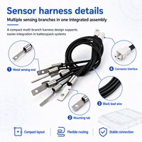 Ensemble de sonde de température NTC GAIMC pour pack de batteries, gestion thermique BMS, câble multi-branche personnalisé