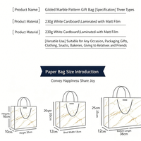 Sac de shopping en papier blanc de luxe, durable, écologique, personnalisable, impression offset, ruban, mariage, anniversaire, vêtements