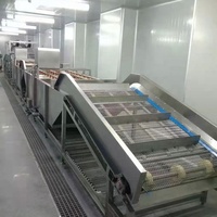 Volledig automatische sorteer-, snij-, was-, droog- en verwerkingslijn voor groenten en fruit, inclusief machines voor het wassen en verwerken van groenten en fruit.