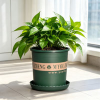 Pot Bunga Plastik PP Ekstra Besar Tebal Kapasitas 31.12L Lubang Drainase Desain Minimalis Paket Grosir untuk Rumah & Taman