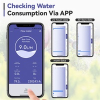 Compteur de débit d'eau RAINPOINT WiFi Compteur d'eau intelligent pour tuyau d'arrosage, convient à tous les tuyaux, robinets, buses