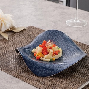 Vente en gros de vaisselle de <span class=keywords><strong>restaurant</strong></span> Assiette peu profonde en porcelaine osseuse mate de style <span class=keywords><strong>japonais</strong></span> pour HORECA - Product Image 1