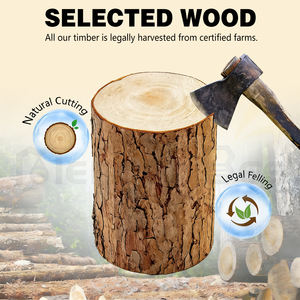 Nueva Colmena MengerBee de Abeto Chino de 3 Capas y 20mm de Grosor, Estilo Alemán, 10 Cuadros, Sin Ensamblar - Product Image 4