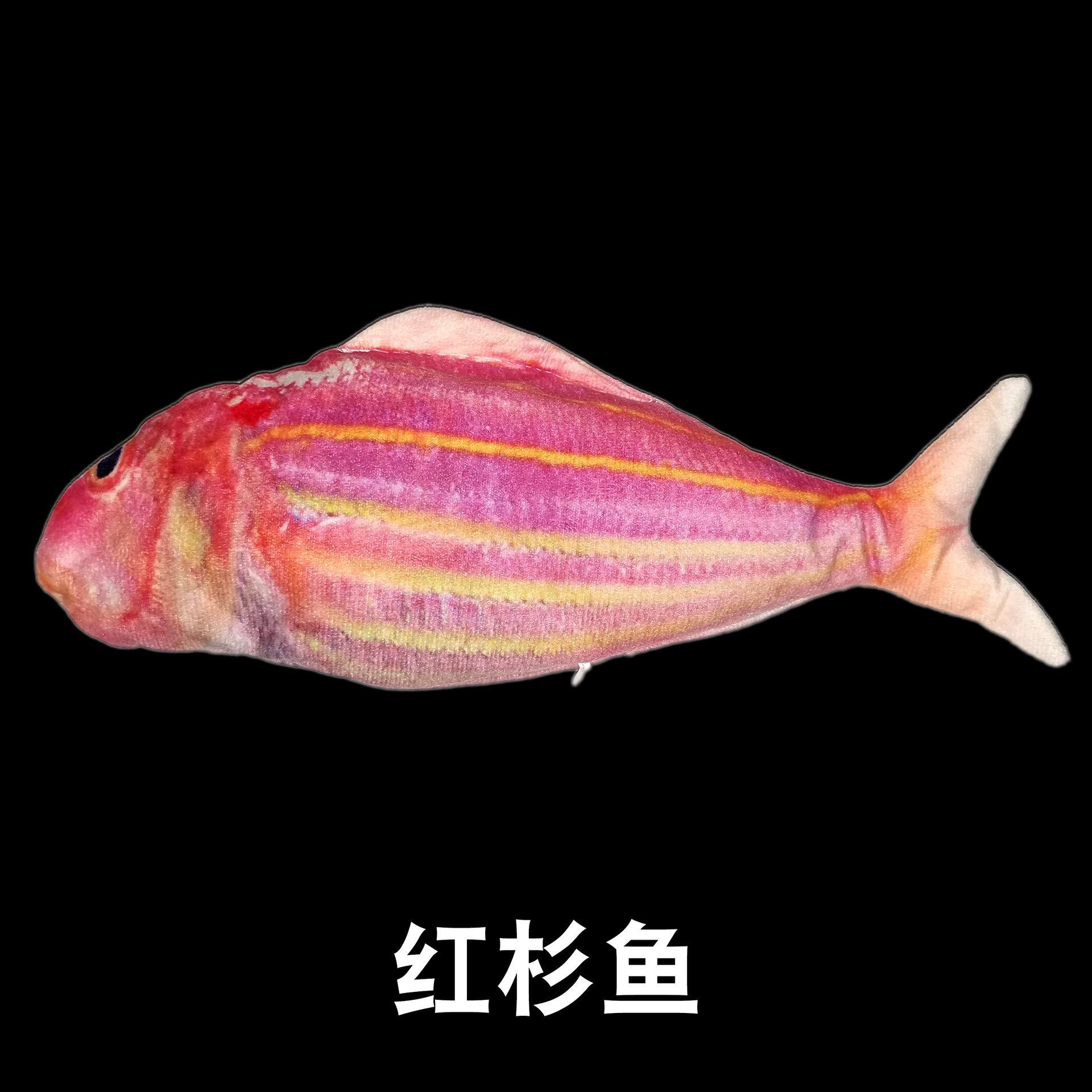 Red shirt fish