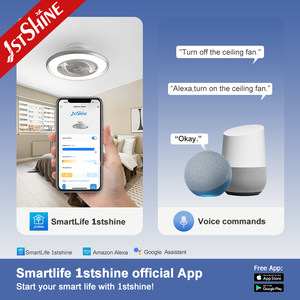 1stshine 22 Inch Kleine Plafondventilator Met Licht Laag Profiel Ingebouwde Ventilator Stille <span class=keywords><strong>DC</strong></span> Motor voor Slaapkamer en Keuken - Product Image 6