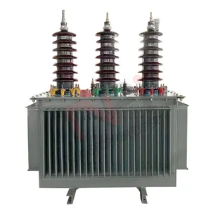 Temperatura Resistencia al frío 11kv 33kv 300KVA 1000KVA 10 MVA Transformadores de distribución eléctrica de energía sumergida en aceite precio