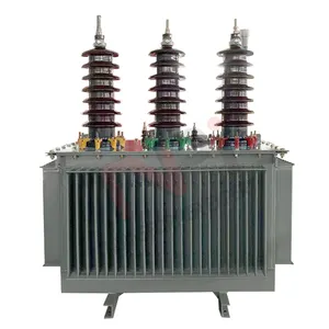 Résistance au froid de la température 11kv 33kv 300KVA 1000KVA 10 MVA Transformateurs de distribution électrique de puissance immergés dans l'huile prix