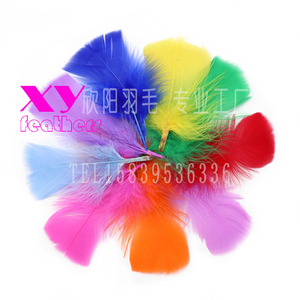 <span class=keywords><strong>Plumes</strong></span> d'oiseaux de dinde blanches, 1 pièce, 5-7CM, haute qualité, vente en gros - Product Image 4
