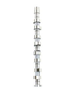 Árbol de Levas de Alta Calidad OE 032109101AH para FOXGOL NOVO GOL G5 <span class=keywords><strong>POLO</strong></span> SPACE FOX 1.6, Piezas de Motor Automotriz Novo GOL G5 <span class=keywords><strong>Polo</strong></span> Space Fox 1.6 - Product Image 3