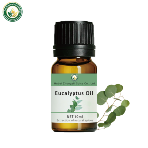 Huile Essentielle d'Eucalyptus 100% Pure Qualité Thérapeutique Parfum Frais Vente en Gros pour Purification Massage Cosmétiques - Product Image 2