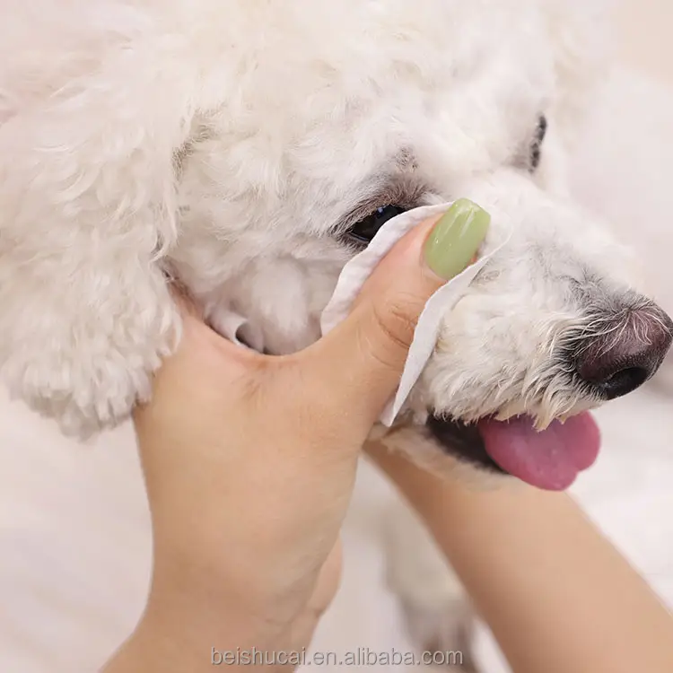 不織布使い捨て消毒アルコールフリー植物ベースの猫犬のクリーニング耳の目グルーミングペットウェットワイプ