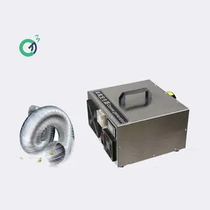 Purificador de aire ozonizador de limpieza de conductos de escape de cocina comercial Industrial 80G/Hr generador de ozono