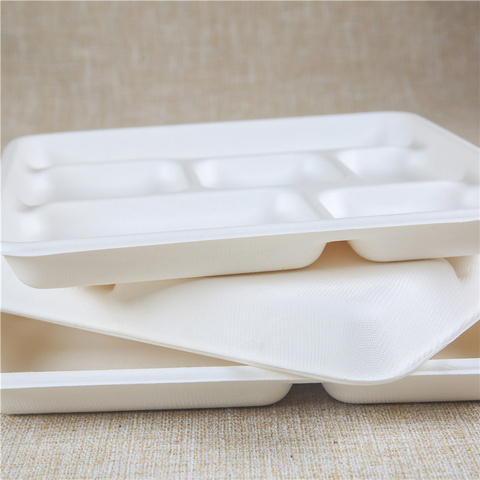 Biodegradable Disposable Food Clamshell / 3 5 Compartments Food Box Tray