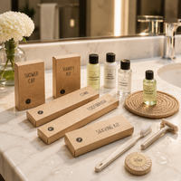 Kit d'articles de toilette personnalisés certifiés FDA pour hôtels : shampoing, gel douche format voyage, ensemble de produits de toilette portables ou kit d'articles de toilette pour hôtel
